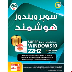 ویندوز 10 هوشمند Windows 10 22H2 UEFI Ready 2024 Edition 1DVD9 گردو